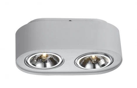 Потолочный светильник Arte Lamp Cliff A5643PL-2WH