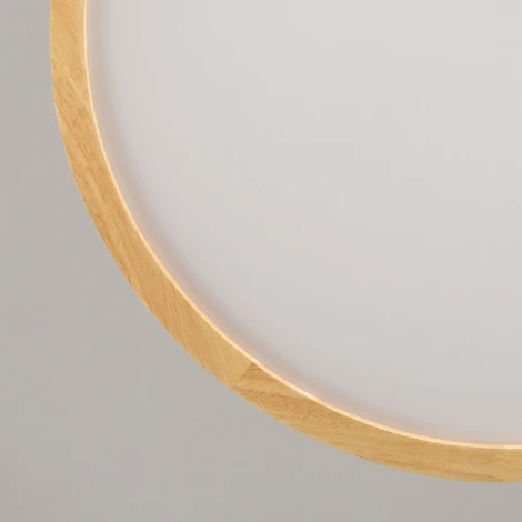 Потолочный светильник круглый светодиодный De City Норден 660015501