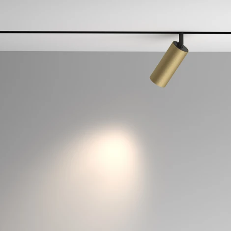 Трековый светильник магнитный 48V Maytoni Artisan TR097-2-12W4K-M-BMG (LED, круглые)