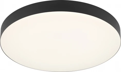 Потолочный светильник круглый светодиодный ЭРА Relict 38 SPB-6-40 4К BK (220V, круглые)