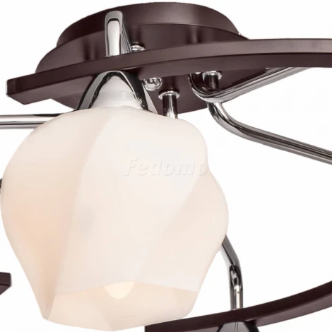 Потолочная люстра Silver Light Aranda 228.59.6