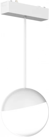 Светильник трековый магнитный 48V Aployt Magnetic track 48 APL.0125.10.06 (LED, шар)