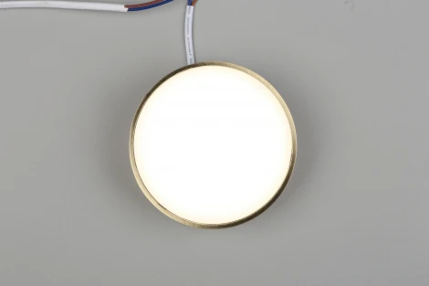 Потолочный светильник круглый Aployt Evon APL.0114.29.12 (LED, 220V, круглые)