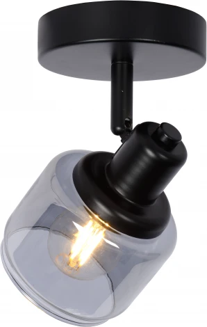 Спот Bjorn 77979/01/30 (220V)