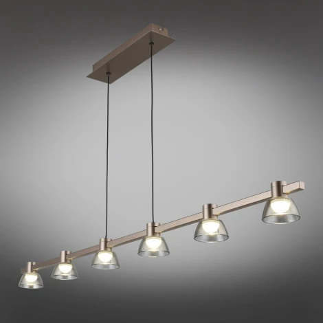 Подвесной светильник Aployt Rezeda APL.788.03.06 (LED, 220V, на проводе)