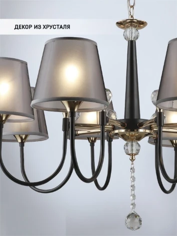 Подвесная люстра Wedo Light Gilliana WD3585/8H-CF-FGD-BK