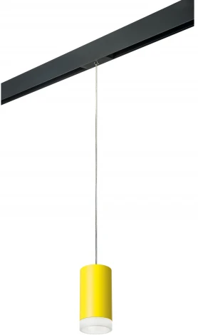 Трековый светильник однофазный 220V Lightstar Rullo PRORP43330 (круглые)