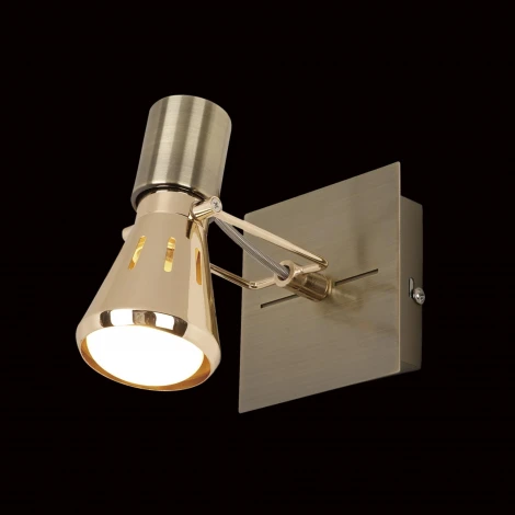 Спот Citilux Марс CL527513