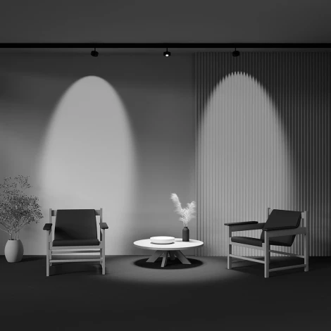 Трековый светильник магнитный 15W 48V Maytoni Lens TR217-2-15W4K-B (LED, круглые)