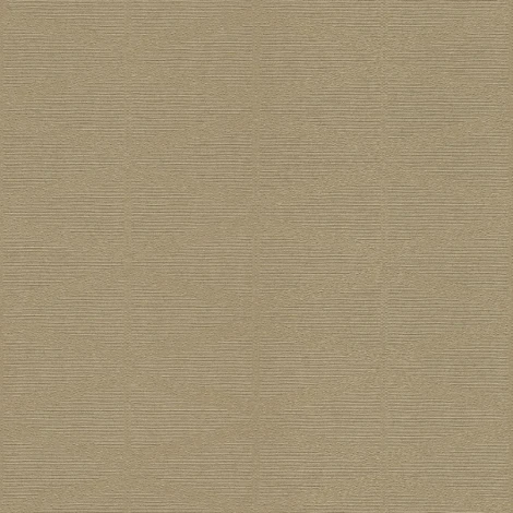 Обои виниловые Rasch Berlin 529876 10,05 x 0,53 м