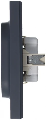 Розетка встраиваемая двойная с заземлением (грифель) Systeme Electric AtlasDesign ATN000724