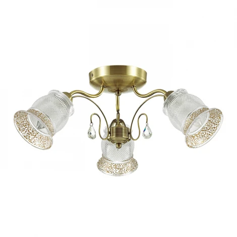 Потолочная люстра Lumion Rakella 3415/3C
