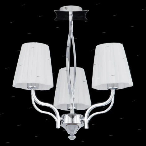 Brizzi 03869 MA03869C/003