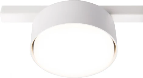 Потолочная люстра Freya Tactic FR5363CL-01W (220V, круглые)