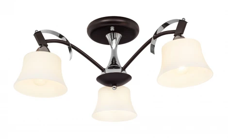 Потолочная люстра Silver Light Assol 231.59.3