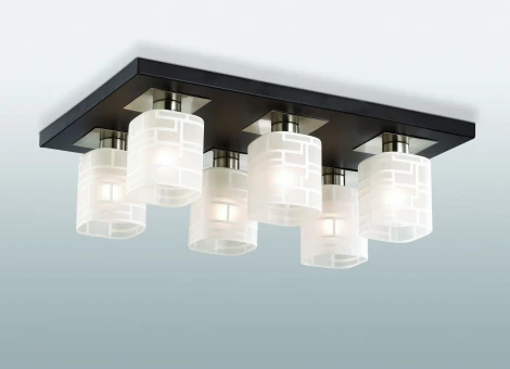 Потолочная люстра Odeon Light Campus 2615/6C