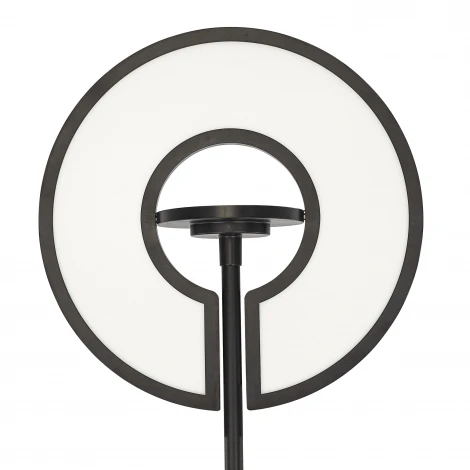 Торшер светодиодный Citilux Loong CL810031 RGB Черный