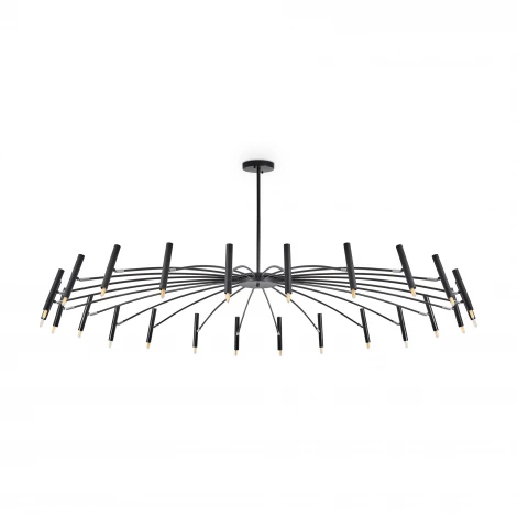 Потолочная люстра на штанге Freya Chorus FR5570PL-24B