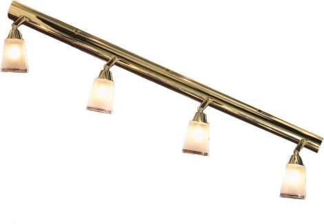 Настенно-потолочный светильник Lussole Rasen LSL-5009-04