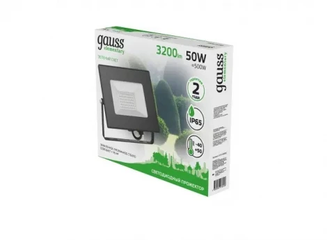 Прожектор уличный Gauss Elementary 613100650