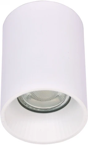 Накладной светильник DeMarkt Прайм 850010801 (220V, круглые)