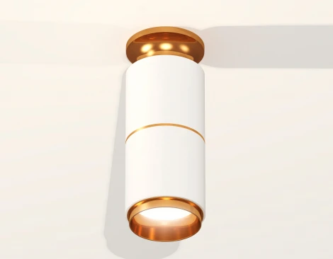 Накладной точечный светильник Ambrella Techno Spot XS6301260 (220V, круглые)