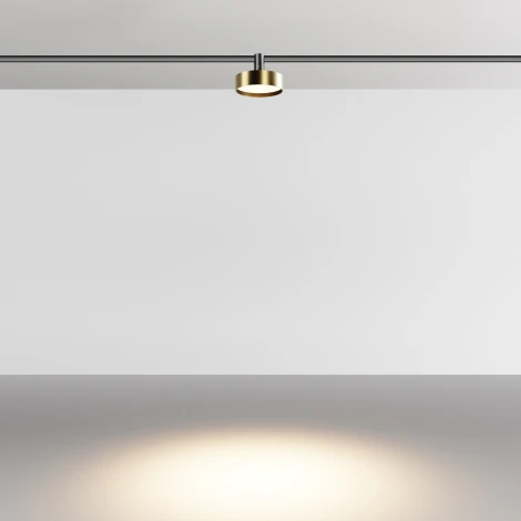 Трековый светильник магнитный 12W 48V Maytoni Zon TR204-1-12W3K-BBS (LED, круглые)