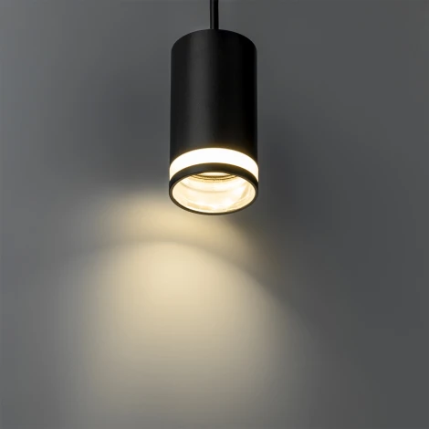 Трековый светильник однофазный 220V Ritter Artline 59930 6