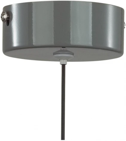 Подвесной светильник Lumion Globe 6569/6L LEDIO белый/серый, хром/металл, акрил 3000-6000K LED 6W 220V (сенсорный выключатель, на проводе)