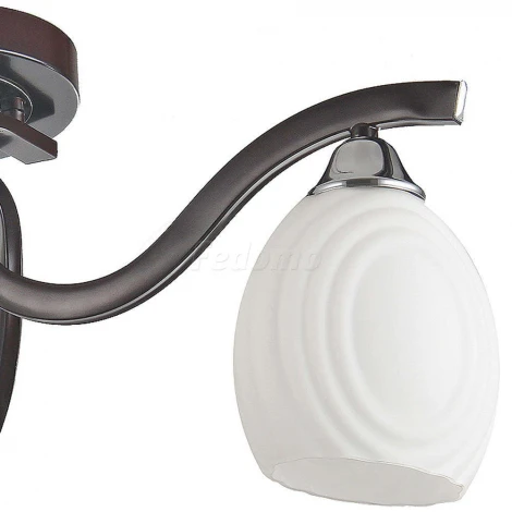 Потолочная люстра Toscom Trum TC-300-303