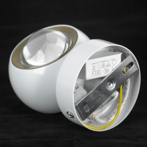 Спот светодиодный Lussole Everett LSP-7076 (220V, шар, круглые)