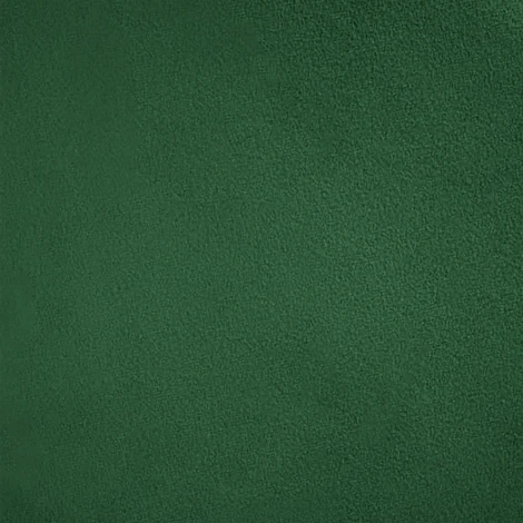 Стул-полукресло Emil зеленый с золотыми ножками Bradex Home арт.RF 0845