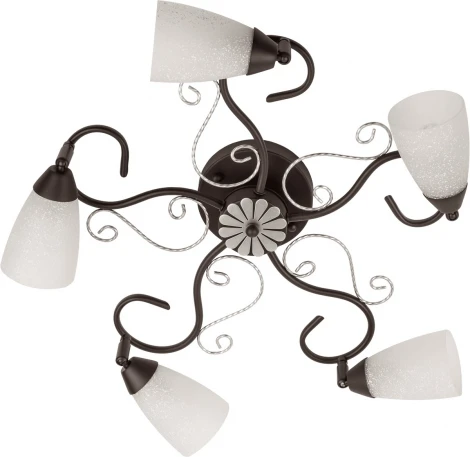 Потолочная люстра MW-Light Аида 323014705