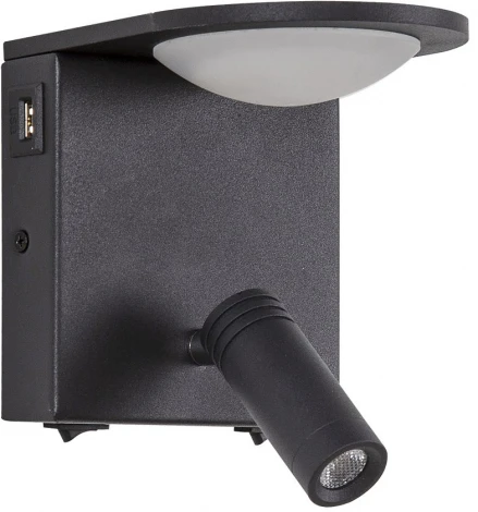Настенный светильник для чтения с usb-портом Favourite Twin 4064-2W (LED, 220V, выключатель)