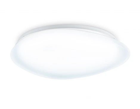 Потолочный светодиодный светильник Ambrella Orbital FZ1605 FR матовый IP20 60W 5000K