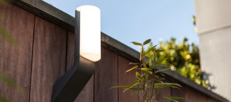 Настенный светильник уличный Oasis Light W1886