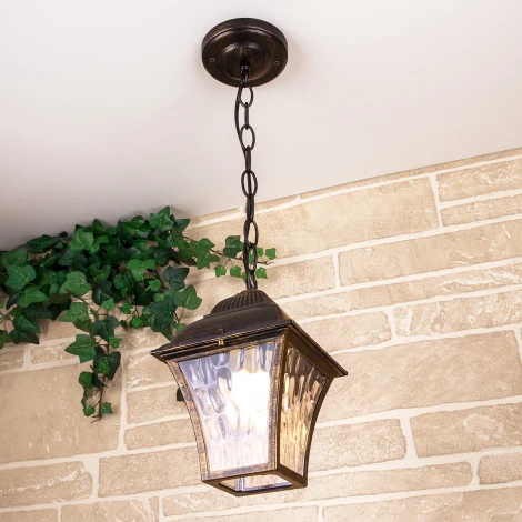 Уличный подвесной светильник 1009H Elektrostandard Apus GL a043115 (220V, на цепи, IP33)