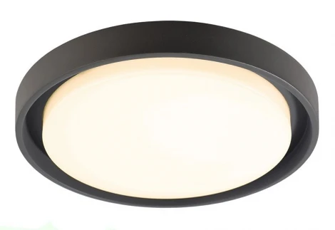 Потолочный светильник уличный Deko-Light Ascella 348067