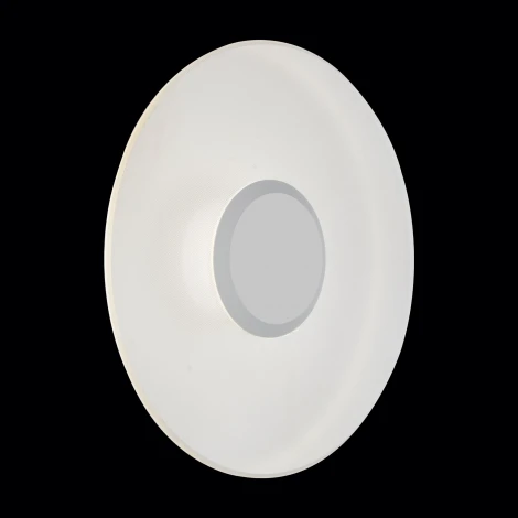 Настенный светильник уличный ST Luce Sotti SL925.501.01