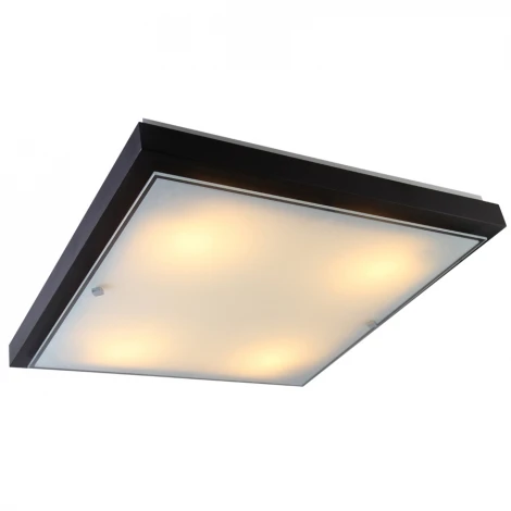 Настенно-потолочный светильник Дубравия Полина 106-41-24/3