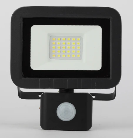 Прожектор уличный Эра LPR-041-2-65K-030