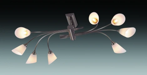 Потолочная люстра Odeon Light Hedys 1373/8