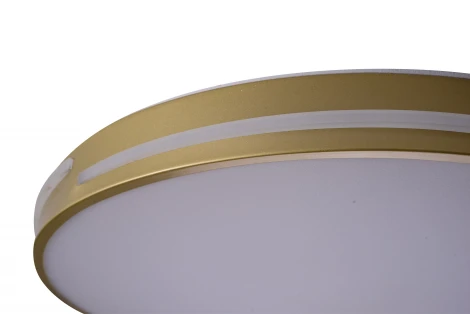 Потолочный светильник круглый со спотами Zortes Gabby ZRS.90610.50 (LED, 220V, круглые)