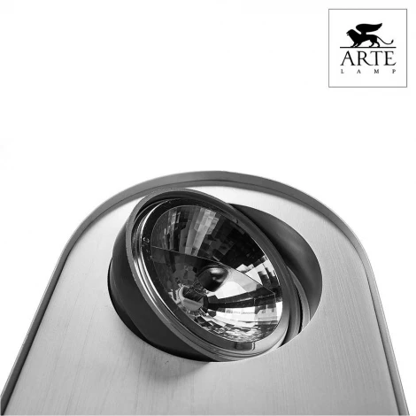 Потолочный светильник Arte Lamp Cliff A5643PL-2WH