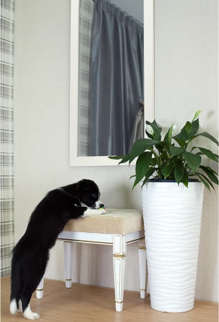 Зеркало настенное BeautyStyle 11 белый 118 см х 60,6 см от фабрики Mebelik