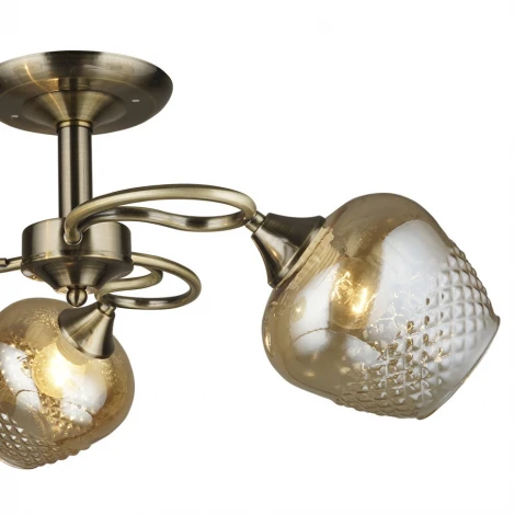 Потолочная люстра Wedo Light Pineto 66435.01.05.03