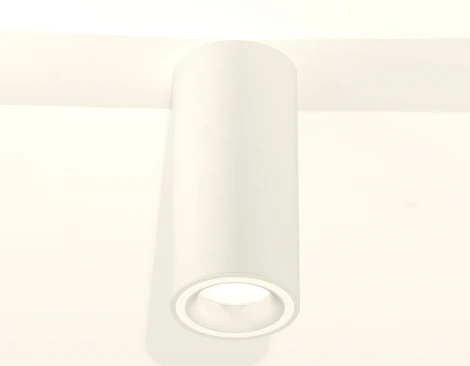 Накладной точечный светильник Ambrella Techno Spot XS7442011 (220V, круглые)