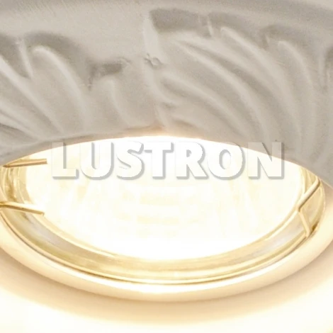 Встраиваемый точечный светильник Arte Lamp Alloro A5244PL-1WH