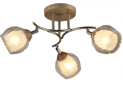 Потолочная люстра на штанге Мелодия Света SS1N 000023510