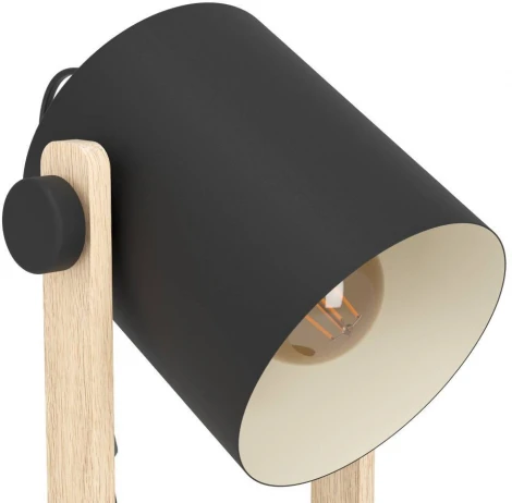 Настольная лампа Eglo Hornwood 43519 (220V, выключатель)